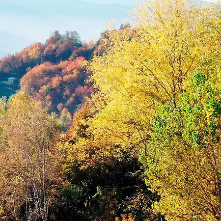 Borgo San Rocco Piemonte