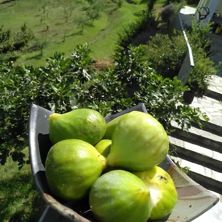 Borgo San Rocco Piemonte *