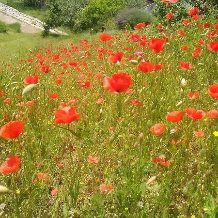 شقة Borgo San Rocco Piemonte